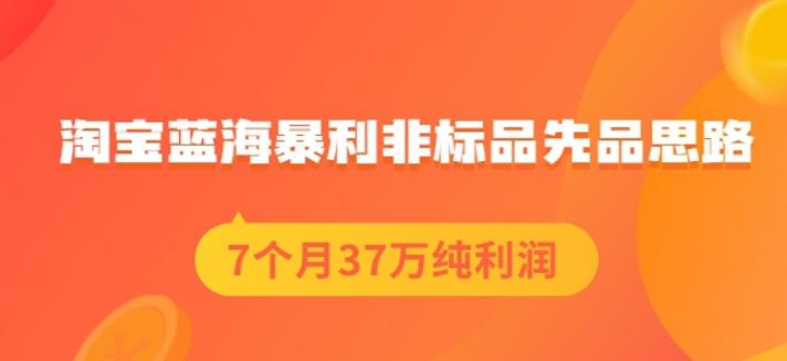 盗坤淘宝蓝海暴利非标品先品思路，7个月37万纯利润，压箱干货分享！【付费文章】-轻创网