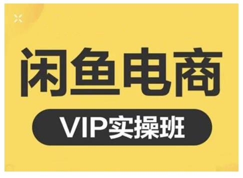 闲鱼电商零基础入门到进阶VIP实战课程，帮助你掌握闲鱼电商所需的各项技能-轻创网