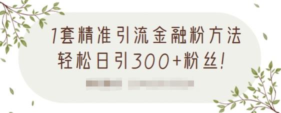 1套精准引流金融粉方法，轻松日引300 粉丝【视频课程】-轻创网