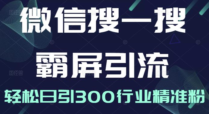 微信搜一搜霸屏引流课，打造被动精准引流系统，轻松日引300行业精准粉【无水印】-轻创网