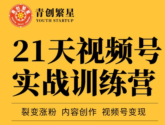 张萌21天视频号实战训练营，裂变涨粉、内容创作、视频号变现 价值298元-轻创网