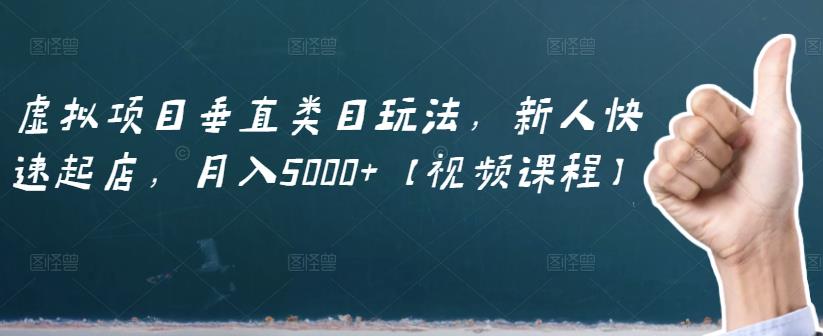 虚拟项目垂直类目玩法，新人快速起店，月入5000 【视频课程】-轻创网