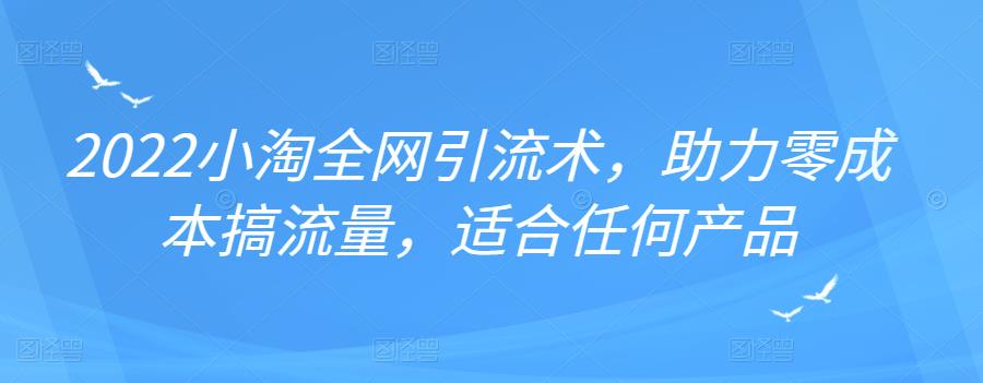 2022年小淘全网引流术，助力零成本搞流量，适合任何产品-轻创网