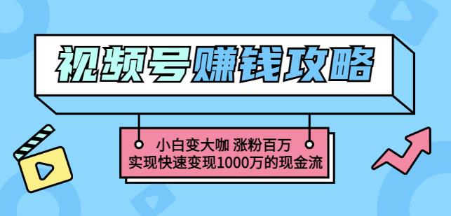 玩转微信视频号赚钱：小白变大咖涨粉百万实现快速变现1000万的现金流-轻创网