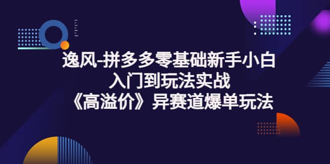 拼多多零基础新手小白入门到玩法实战《高溢价》异赛道爆单玩法实操课-轻创网