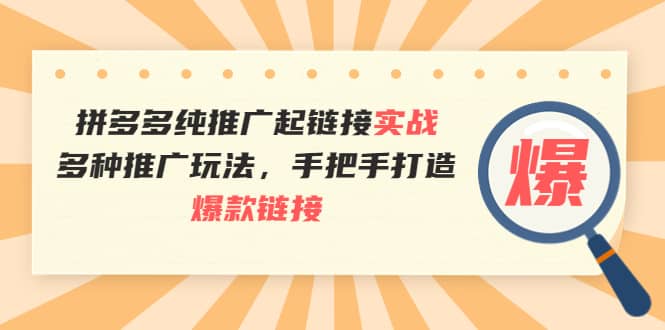 拼多多纯推广起链接实战：多种推广玩法，手把手打造爆款链接-轻创网