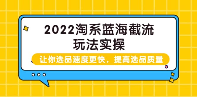 2022淘系蓝海截流玩法实操：让你选品速度更快，提高选品质量（价值599）-轻创网