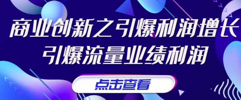 《商业创新之引爆利润增长》引爆流量业绩利润-轻创网