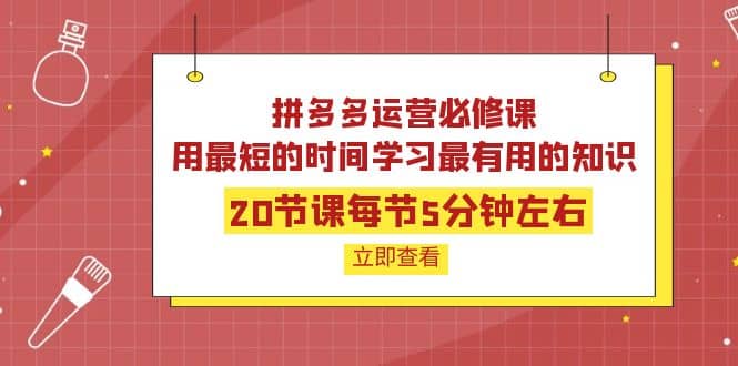 拼多多运营必修课：20节课每节5分钟左右，用最短的时间学习最有用的知识-轻创网