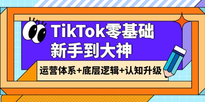 TikTok零基础新手到大神：运营体系 底层逻辑 认知升级（9节系列课）-轻创网