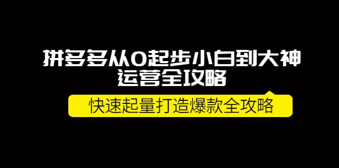 拼多多从0起步小白到大神运营全攻略-轻创网