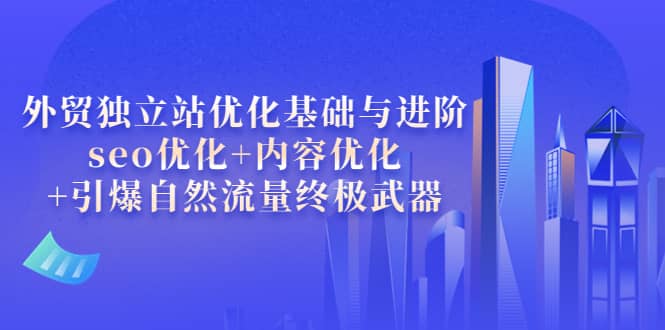 外贸独立站优化基础与进阶，seo优化 内容优化 引爆自然流量终极武器-轻创网