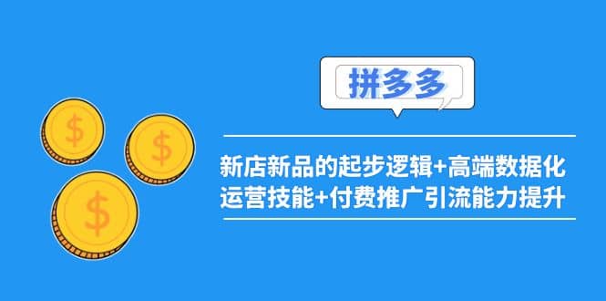 2022拼多多：新店新品的起步逻辑 高端数据化运营技能 付费推广引流能力提升-轻创网