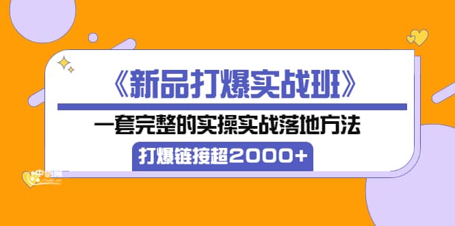 《新品打爆实战班》一套完整的实操实战落地方法，打爆链接超2000 （38节课)-轻创网