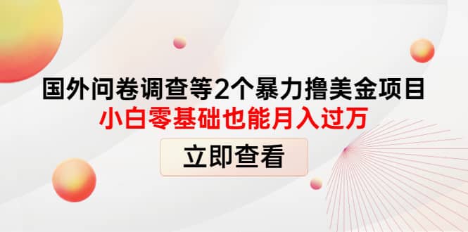 国外问卷调查等2个暴力撸美元项目，小白零基础也能月入过万-轻创网