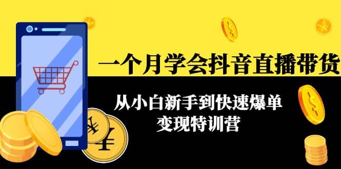 一个月学会抖音直播带货：从小白新手到快速爆单变现特训营(63节课)-轻创网