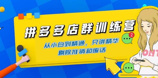 拼多多店群训练营：从小白到精通，只讲精华，剔除推销和废话-轻创网