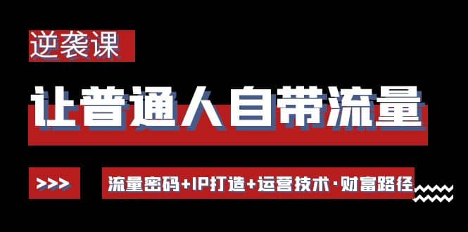 让普通人自带流量的逆袭课：流量密码 IP打造 运营技术·财富路径-轻创网