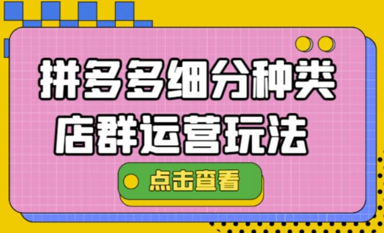 拼多多细分种类店群运营玩法3.0，11月最新玩法，小白也可以操作-轻创网