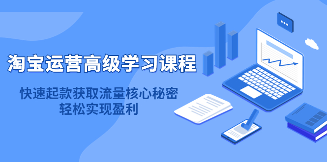 淘宝运营高级学习课程：快速获取流量核心秘密，轻松实现盈利！-轻创网