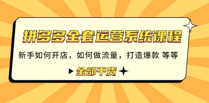 拼多多全套运营系统课程：新手如何开店 如何做流量 打造爆款 等等 全部干货-轻创网