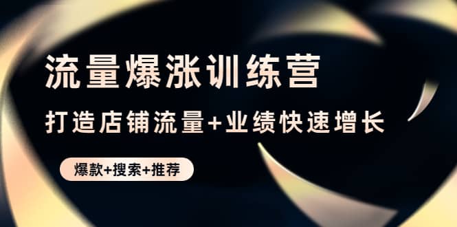 流量爆涨训练营：打造店铺流量 业绩快速增长 (爆款 搜索 推荐)-轻创网