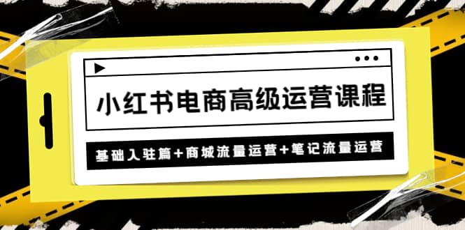 小红书电商高级运营课程：基础入驻篇 商城流量运营 笔记流量运营-轻创网