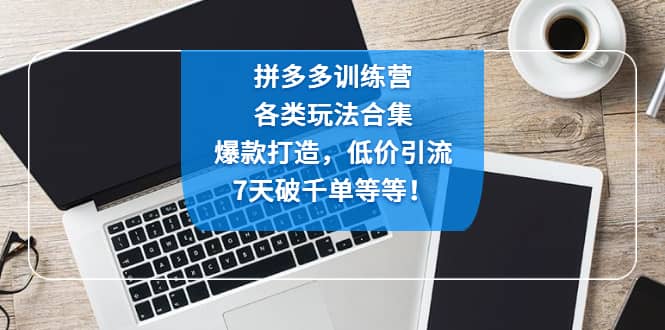 拼多多训练营：各玩法合集，爆款打造，低价引流，7天破千单等等-轻创网