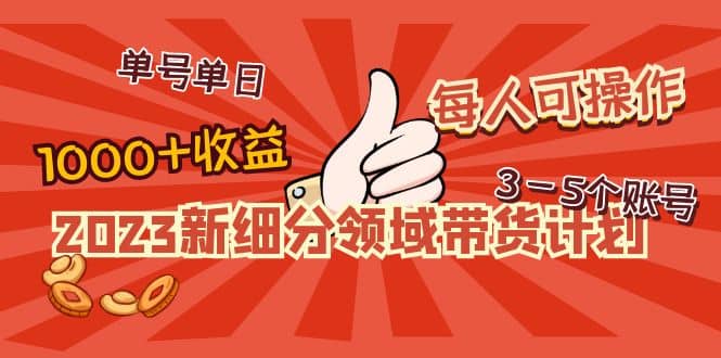 2023新细分领域带货计划：单号单日1000 收益不难，每人可操作3-5个账号-轻创网