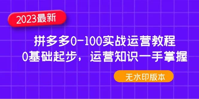 2023拼多多0-100实战运营教程，0基础起步，运营知识一手掌握（无水印）-轻创网