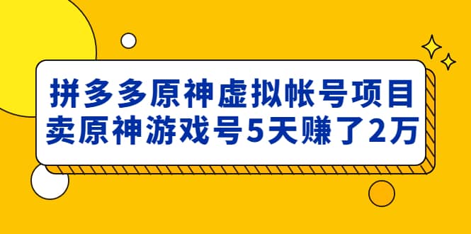 外面卖2980的拼多多原神虚拟帐号项目-轻创网