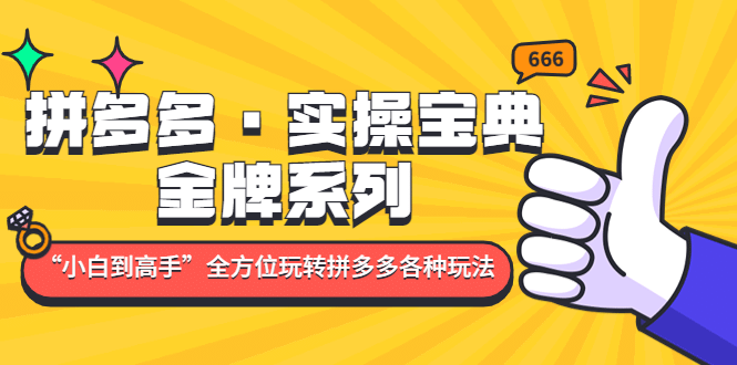 拼多多·实操宝典：金牌系列“小白到高手”带你全方位玩转拼多多各种玩法-轻创网