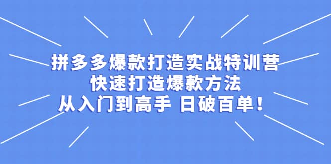 拼多多爆款打造实战特训营：快速打造爆款方法，从入门到高手 日破百单-轻创网