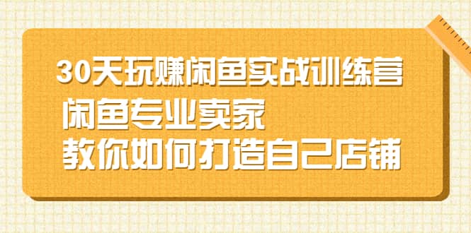 30天玩赚闲鱼实战训练营，闲鱼专业卖家教你如何打造自己店铺-轻创网