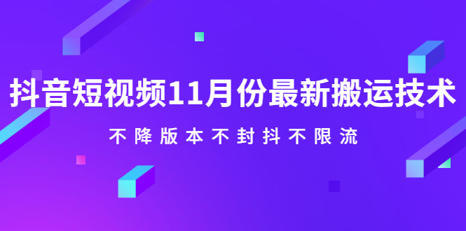 抖音短视频11月份最新搬运技术，不降版本不封抖不限流！【视频课程】-轻创网