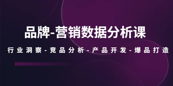 品牌-营销数据分析课，行业洞察-竞品分析-产品开发-爆品打造-轻创网