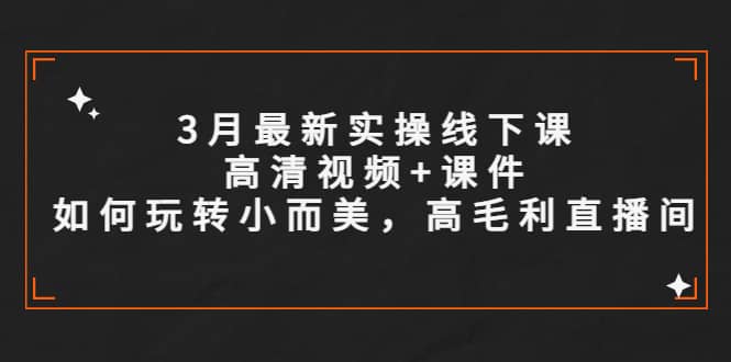 3月最新实操线下课高清视频 课件，如何玩转小而美，高毛利直播间-轻创网