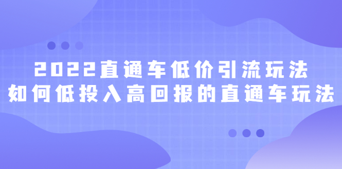 2022直通车低价引流玩法，教大家如何低投入高回报的直通车玩法-轻创网