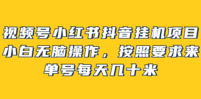 视频号小红书抖音挂机项目，小白无脑操作，按照要求来，单号每天几十米-轻创网