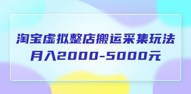 淘宝虚拟整店搬运采集玩法分享课：月入2000-5000元（5节课）-轻创网