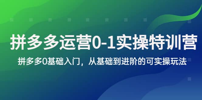 拼多多-运营0-1实操训练营，拼多多0基础入门，从基础到进阶的可实操玩法-轻创网