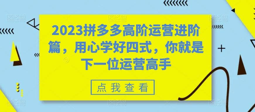 2023拼多多高阶运营进阶篇，用心学好四式，你就是下一位运营高手-轻创网