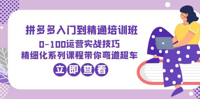 2023拼多多入门到精通培训班：0-100运营实战技巧 精细化系列课带你弯道超车-轻创网