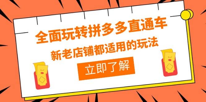 全面玩转拼多多直通车，新老店铺都适用的玩法（12节精华课）-轻创网