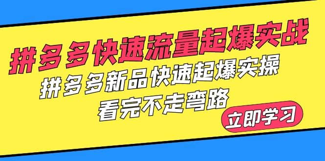 拼多多-快速流量起爆实战，拼多多新品快速起爆实操，看完不走弯路-轻创网