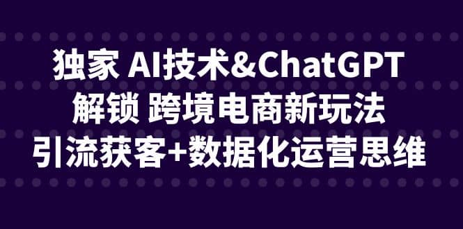 独家 AI技术ChatGPT解锁 跨境电商新玩法，引流获客 数据化运营思维-轻创网