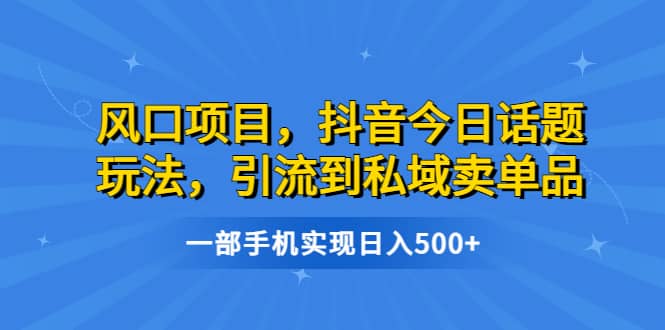 风口项目，抖音今日话题玩法，引流到私域卖单品，一部手机实现日入500-轻创网