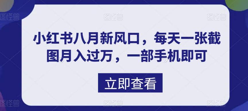 八月新风口，小红书虚拟项目一天收入1000 ，实战揭秘-轻创网