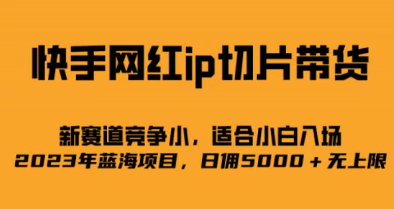 快手网红ip切片新赛道，竞争小事，适合小白 2023蓝海项目-轻创网