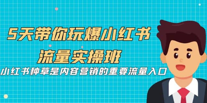 5天带你玩爆小红书流量实操班，小红书种草是内容营销的重要流量入口-轻创网